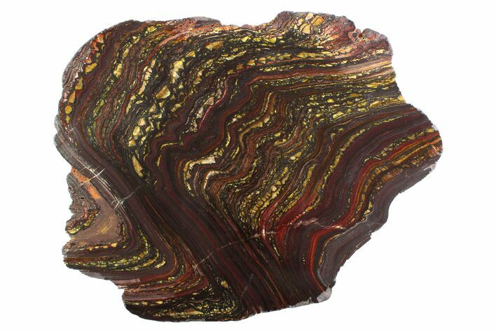Polished Tiger Iron Stromatolite Slab - Billion Years #354938